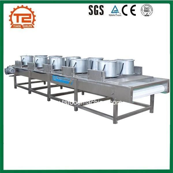 Fruit and Vegetable Dryer Equipment Grape Drying Machine