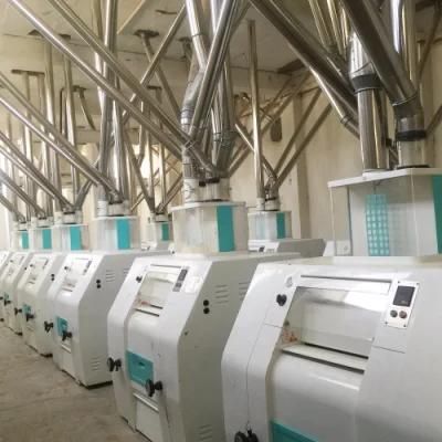 300t/24h European Standard Wheat Flour Mill Machines