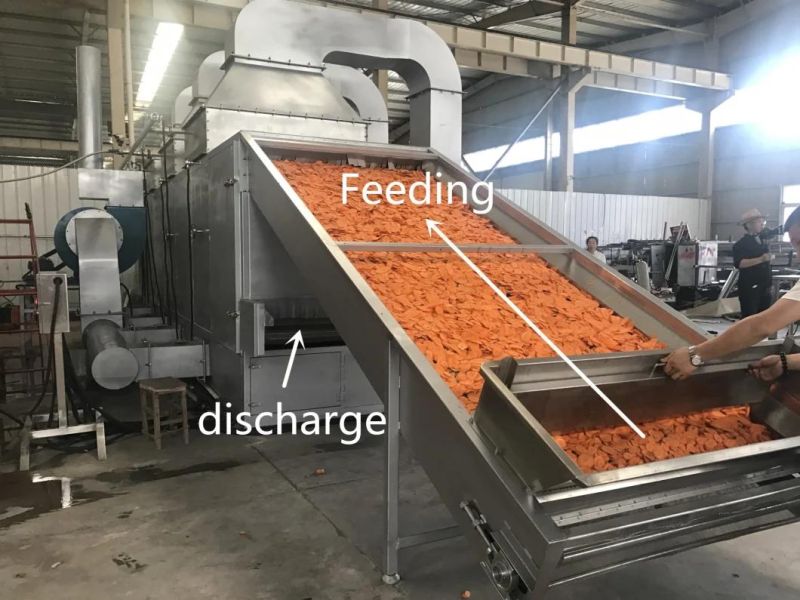 Hemp Dryer Machine Carrot and Onion Konjak Drying Dryer Machine with Steam/Gas Heating