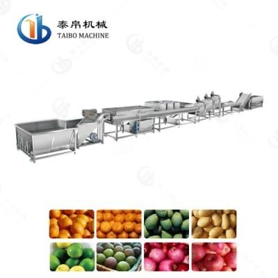 SUS304 Fruit Apple Orange Washing Waxing Size Grading Line for Factory