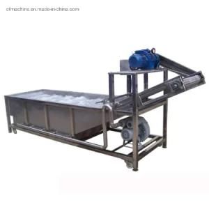 Water Bubble Type Washer Fruit Vegetable Cleaning Machine in High Quality