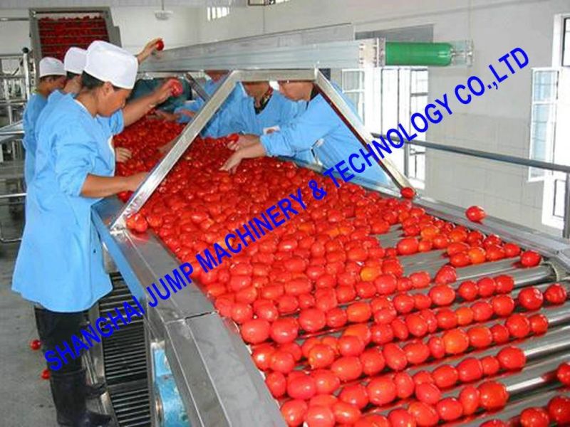 High Productivity Tomato Sauce Packing Line