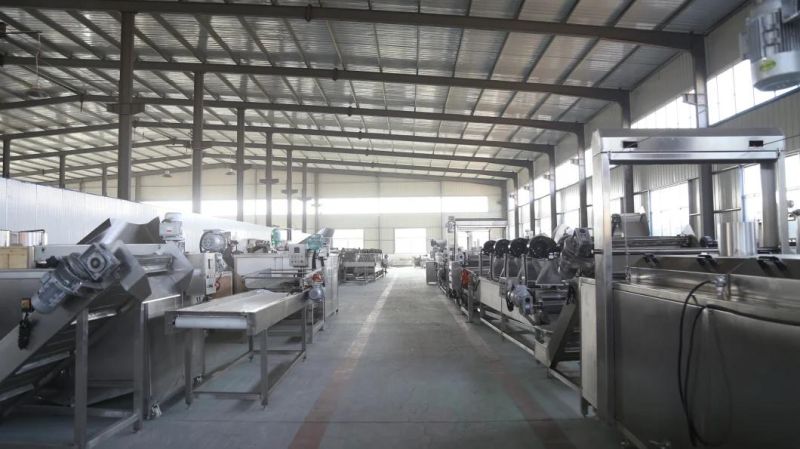Commercial Fruit Vegetable Steam Blanching Machine