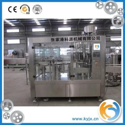 Complete Automatic Bottle Juice Bottling Equipment