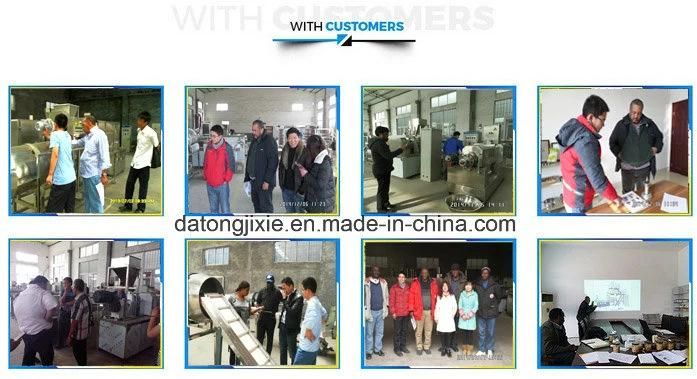 Pet Food Production Line Machine Double Screw Extruder Machine