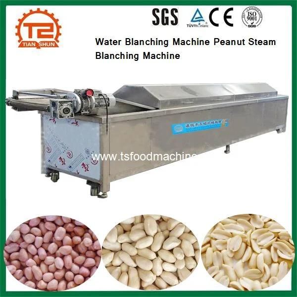 Food Processing Equipment Water Blanching Machine Peanut Steam Blanching Machine