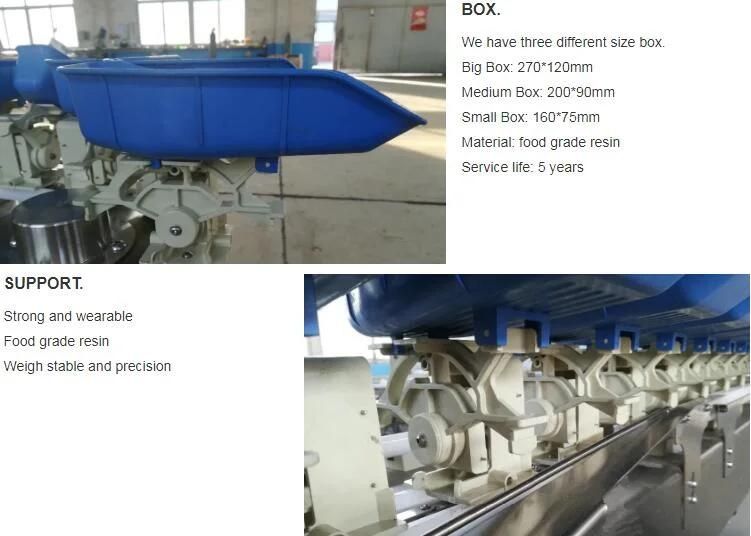 Automatic Fresh Vegetable and Fruit Grading Equipment