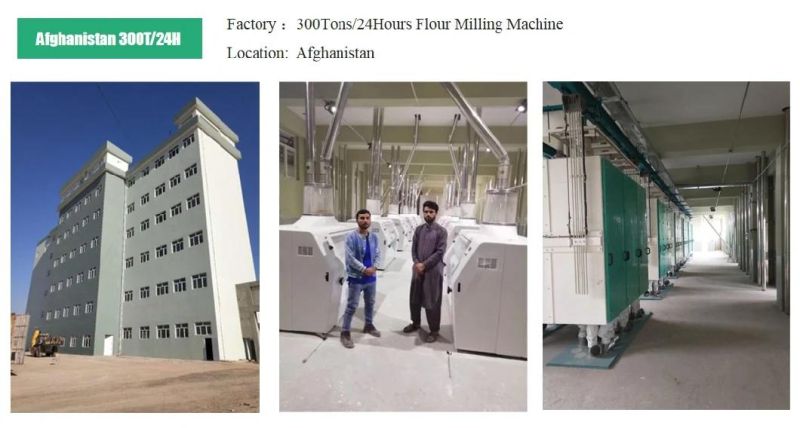 Hongdefa High Standard Complete Maize Corn Wheat Flour Mill Machine