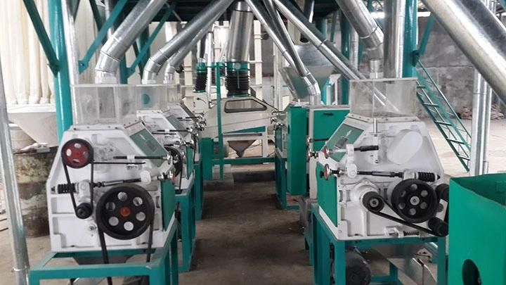 30t/24h Maize Flour Mill Plant, Maize Milling Plant