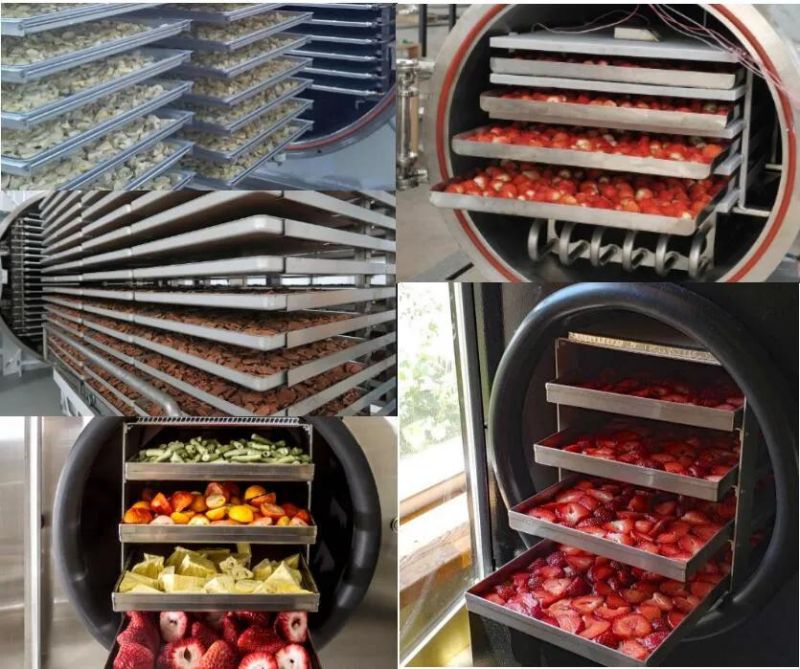 Vacuum Freeze Dryer Fruit and Vegetabls Food Freeze Dryer