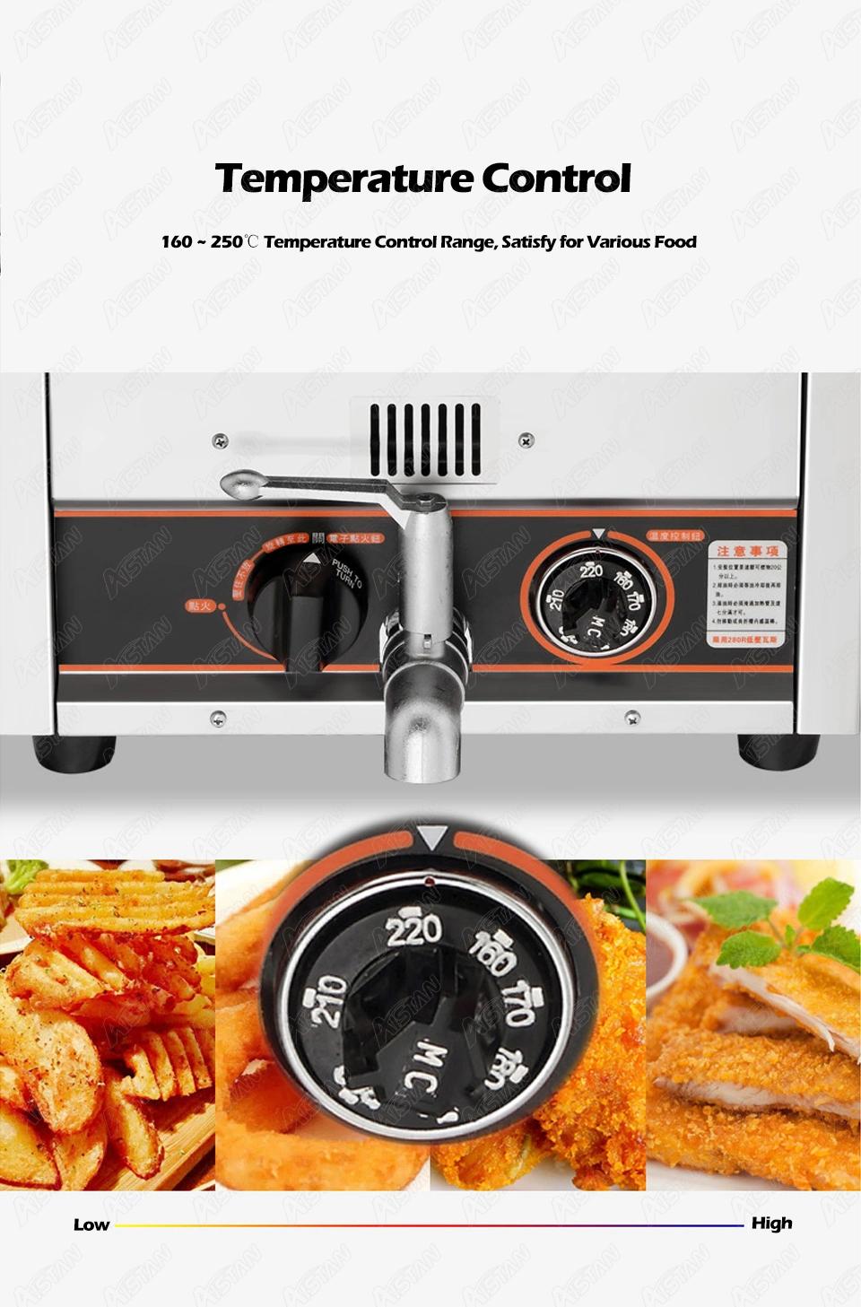 Bdh15L Tabletop Gas Deep Fryer with Temperature Control Stainless Steel#304 LPG or Natural Gas Chips Chicken Frying Machine