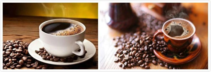 High Capacity 8kg Coffee Maker for Commercial Use