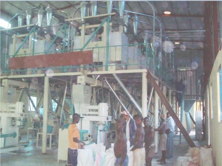 Corn Flour Mill in West Africa for 50ton Per Day Capacity