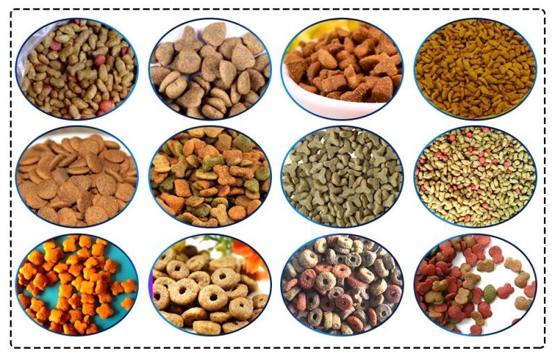 High Quality Animal Pet Food Fish Feed Pellet Making Machine