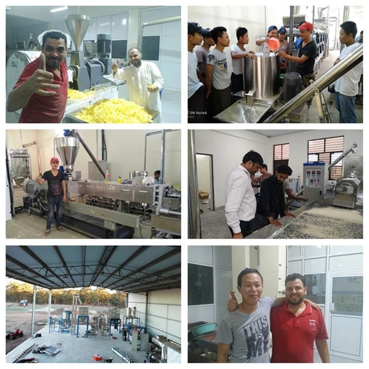 500kg Nutritious Artificial Rice Mill Production Extruder Machine