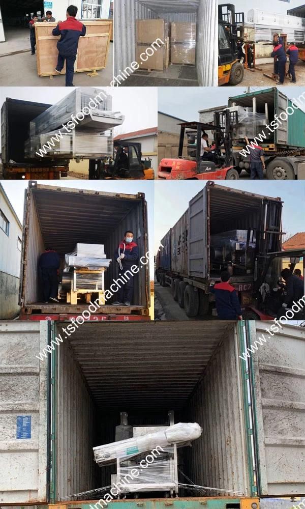 Ginger Cleaning Processing Plant Ginger Washing Machine