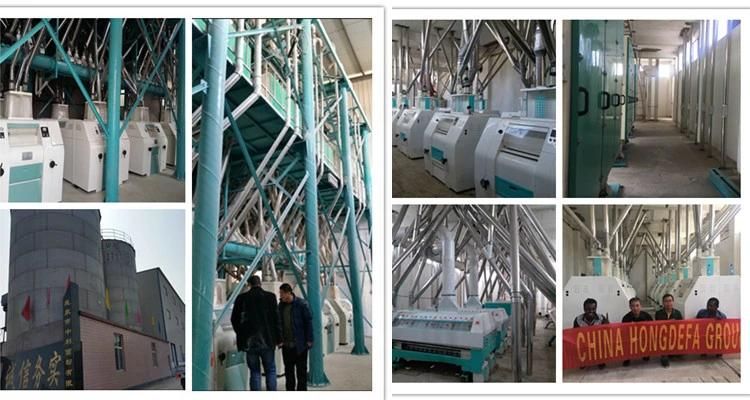 EU Standard 60-100t Wheat Flour Mill Machine Running Complete Line