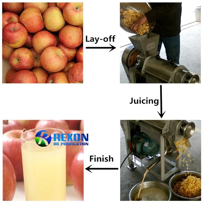 Coconut Milk Extracting Machine Fruit Screw Juicing Machine Fruit Juicer