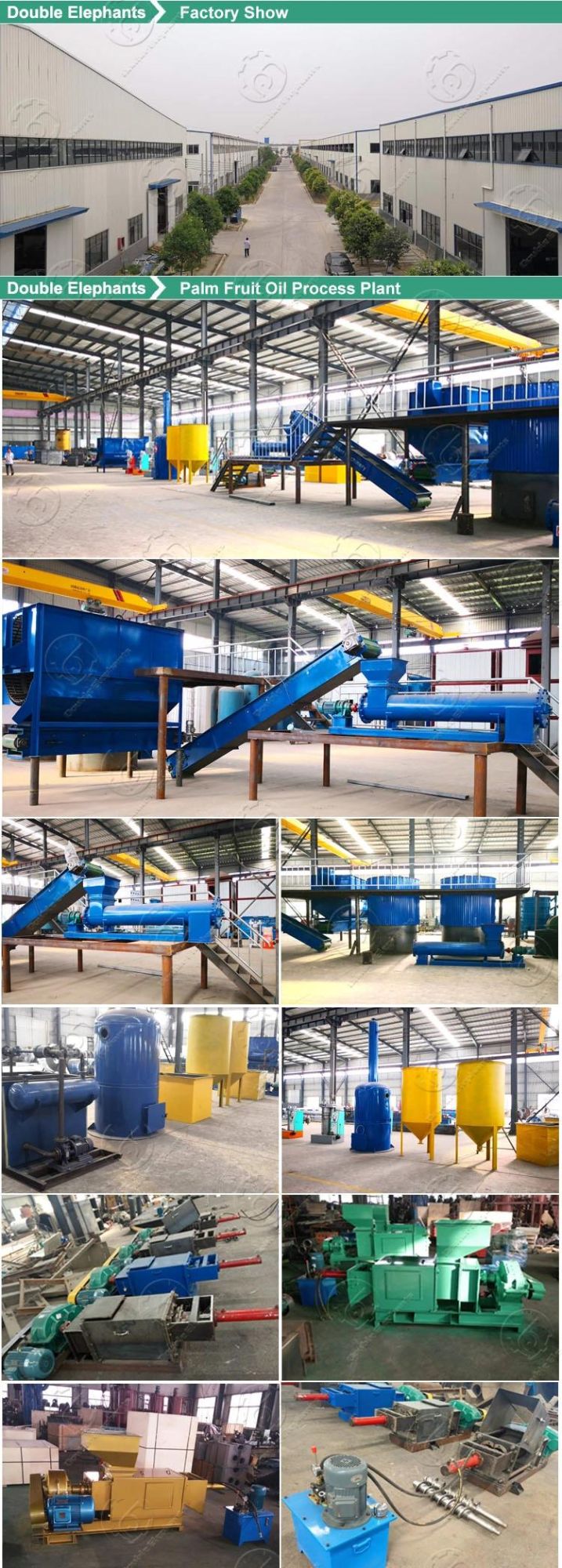 1t-5t/H Palm Oil Extraction Palm Oil Processing Pressing Machine in Africa