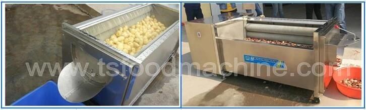 Brush Type Peanut Washing Machine and Walnut Washer Machine