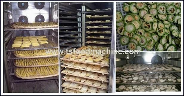 Tomato, Grape, Date, Lemon Dryer and Fruit Drying Machine