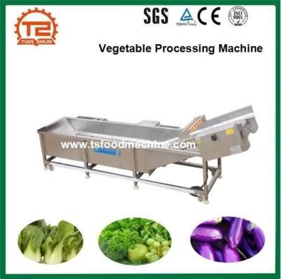 Vegetable Cleaner Washing Machine Ozone Fruit and Vegetable Processing Machine