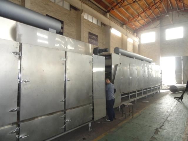 Dwc Multi Belt Dryer for Vegetable and Fruit