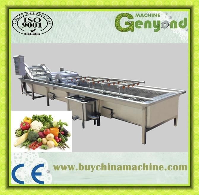 Green Vegetables Washing & Blanching Processing Line