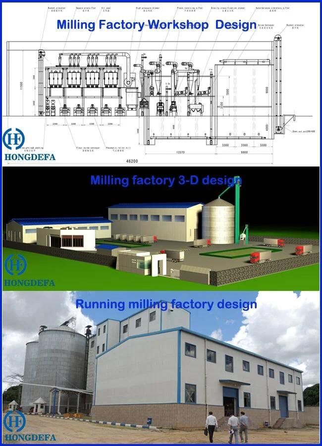 Complete Set 200tpd Wheat Flour Milling Machine