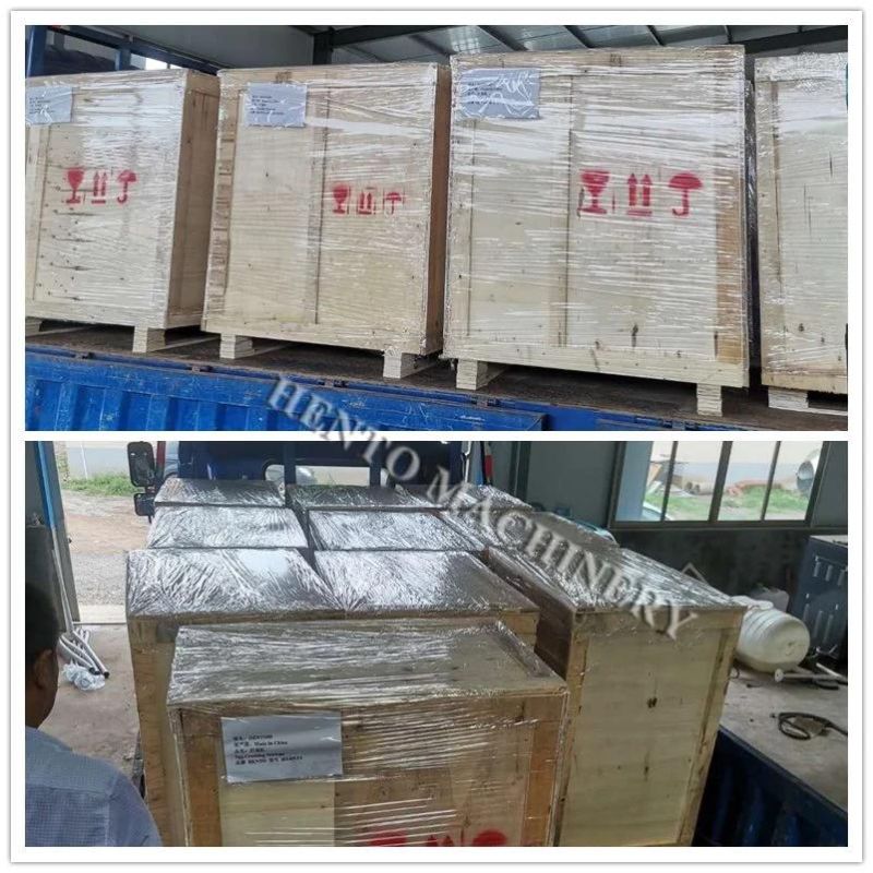 Automatic Egg Washing Machine Egg Washing Equipment