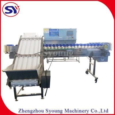 Food Sorter Weight Selecting Machine for Sorting Herbal Garlic