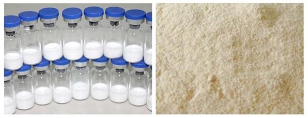 100kg/Batch Industrial Lyophilization Vacuum Freeze Dryer Herbal Medicine