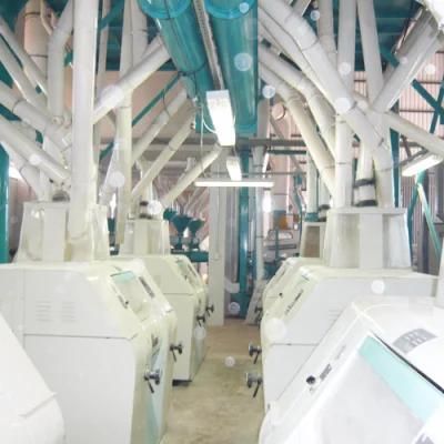 European Standard Wheat Flour Mill Plant