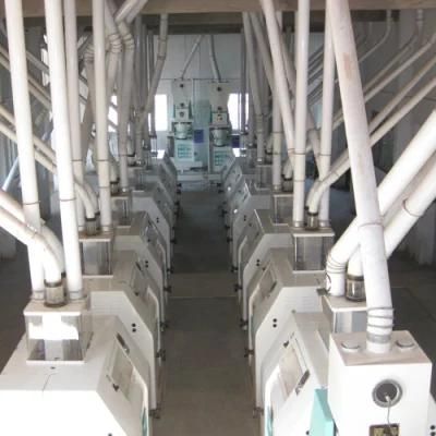 Turnkey Project Wheat Mill Machinery, Wheat Flour Mill