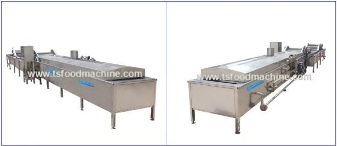 Fruit and Vegetable Blancher and Meat, Seafood Blanching Machine