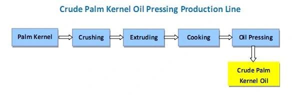 Palm Kernel/Peanut Oil Processing Machine