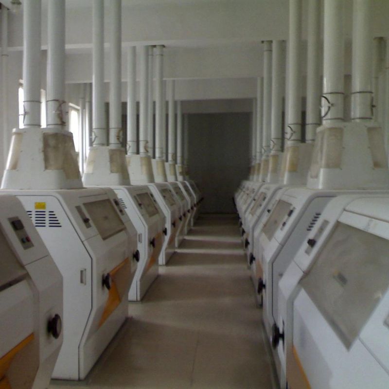 Best Quality 500t/24h Flour Mill