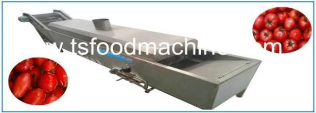 Tomato Processing Equipment Tomato Washing Blanching Machine