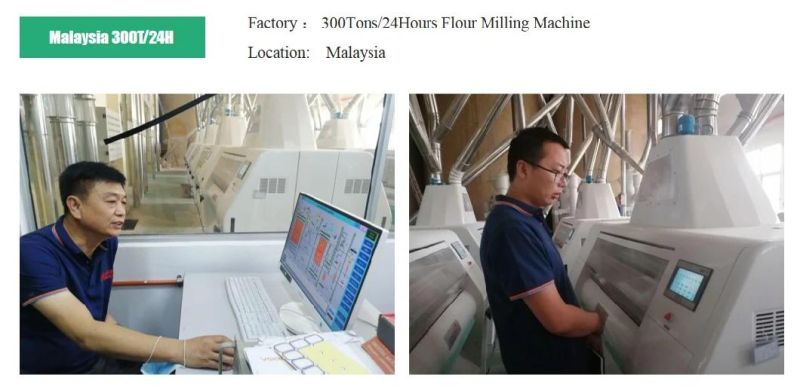 Hongdefa High Standard Complete Maize Corn Wheat Flour Mill Machine