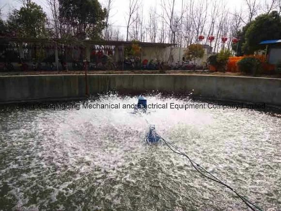 Hot Sale Water Aerator Impeller Aerator for Farming