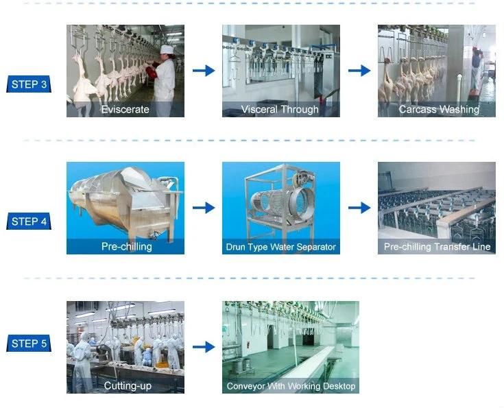 Poultry Processing Line Chicken Slaughter Line Duck Slaughterhouse