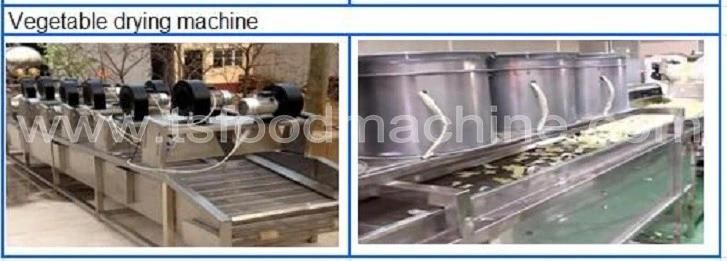 Vacuum Bag Package Food Drying Machine and Drying Dehydrator Machine