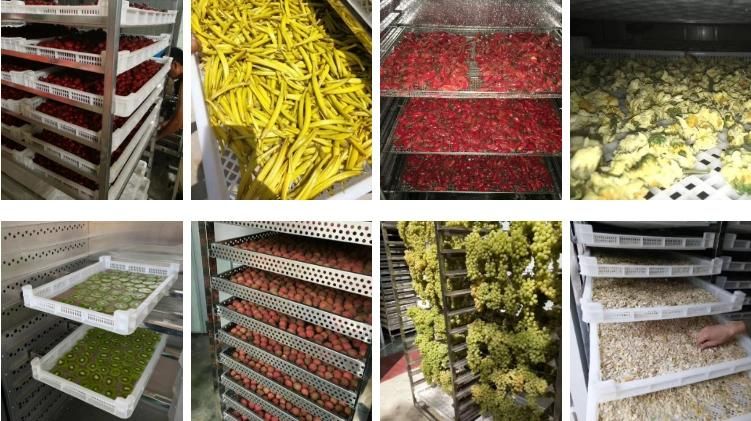 Strawberry Fruits Industrial Hot Air Circulation Drying Machinery