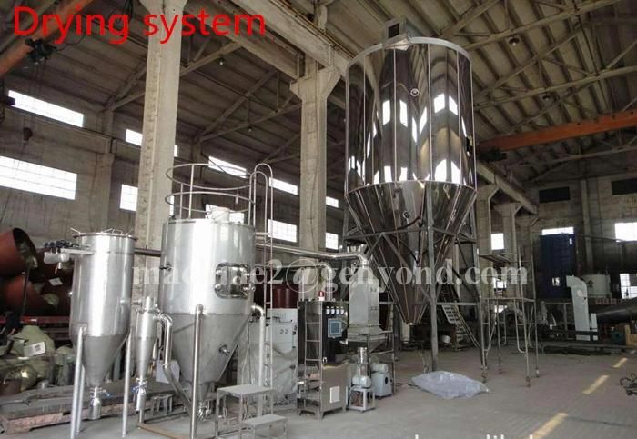 Complete Banana Powder Production Line