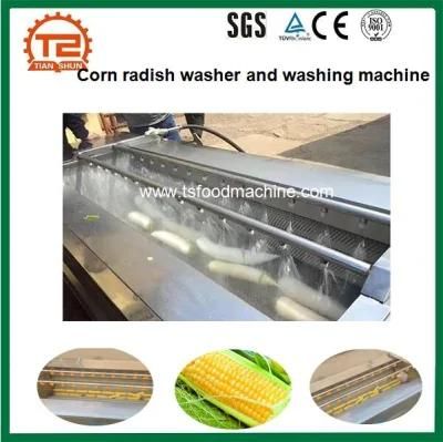 Maize Corn Washing Machine and Radish Washer Machine