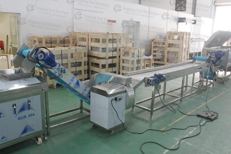 Qx-3000 Industrial Potato Chip Making Machine French Fries Production Line