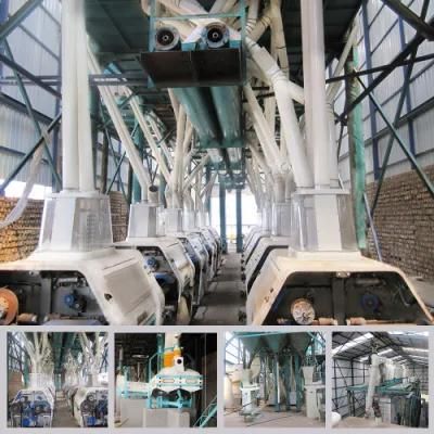 Eruopean Standard 200t/24h Wheat Flour Mill