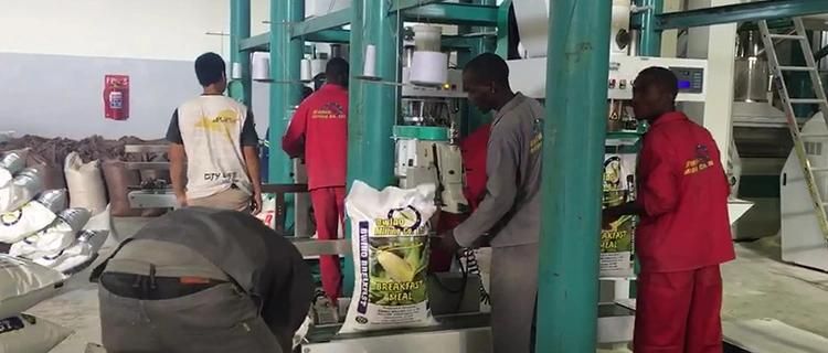 Hongdefa Running Small Maize Mill 10t/24 Hours in Zambia