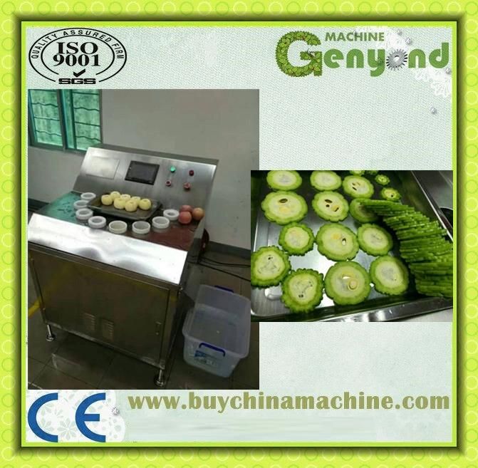 Hami Melon Slicing Machine for Sale in China