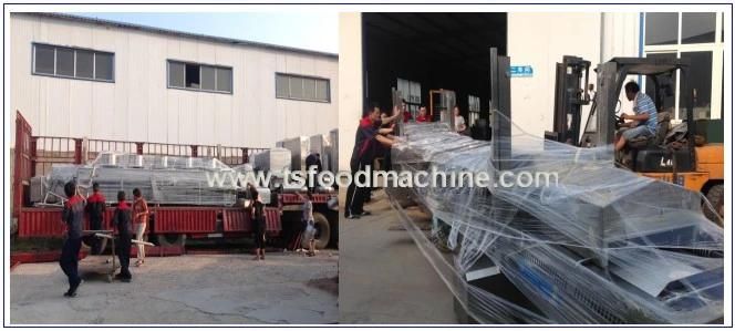 Vegetable Sterilization Line, Fruit Blancher and Vegetable Blanching Sterilizer Machine